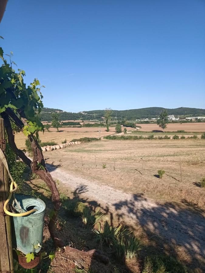 Agriturismo Podere La Selva Villa Serre Di Rapolano Exterior photo