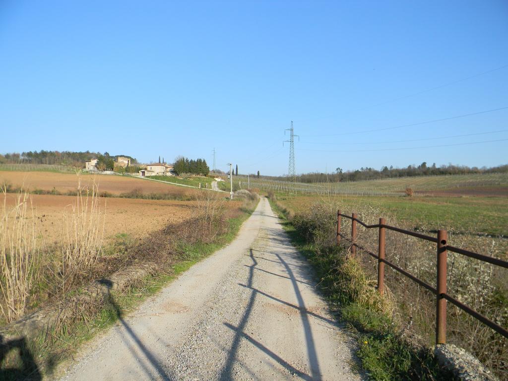 Agriturismo Podere La Selva Villa Serre Di Rapolano Exterior photo