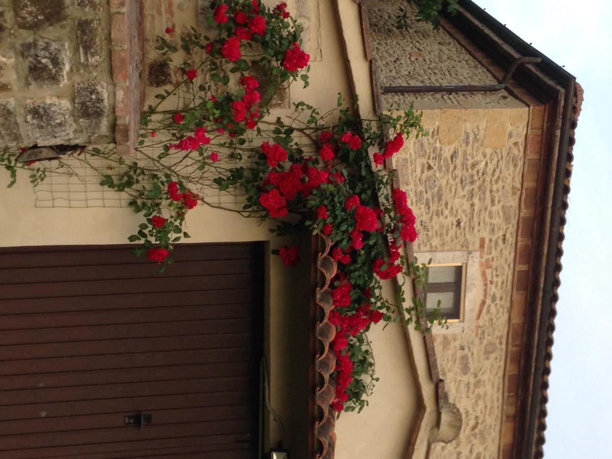 Agriturismo Podere La Selva Villa Serre Di Rapolano Exterior photo